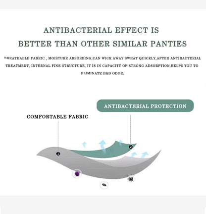 Seamless Shaper Underwear